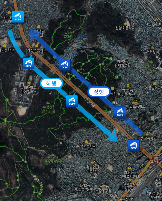 실시간 교통정보
